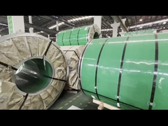 HL Spiegel RVS RVS Spiraalstrip 201 202 BA Zwart 2205